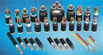 鏈接韌性與信賴 江南電纜的高清影記與加盟價值解析